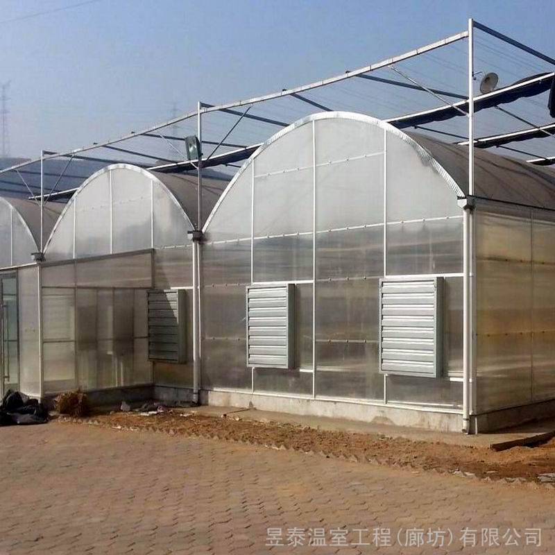 连栋温室薄膜连栋棚蔬菜大棚种植育苗大棚设计建造厂家