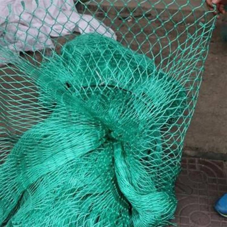 绿色6股家禽养殖网农业养鸡聚乙烯编织绳PE渔网有结绳网
