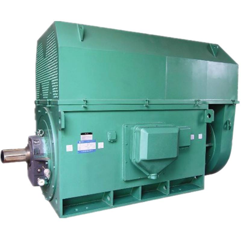 厂家直销西安泰富西玛高压电机YKK4005-2450KW6KV三相异步电动机