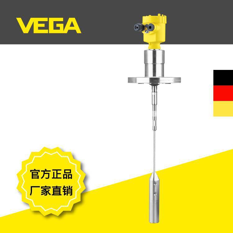 德国VEGA威格FLEX82导波雷达料位仪表料位计