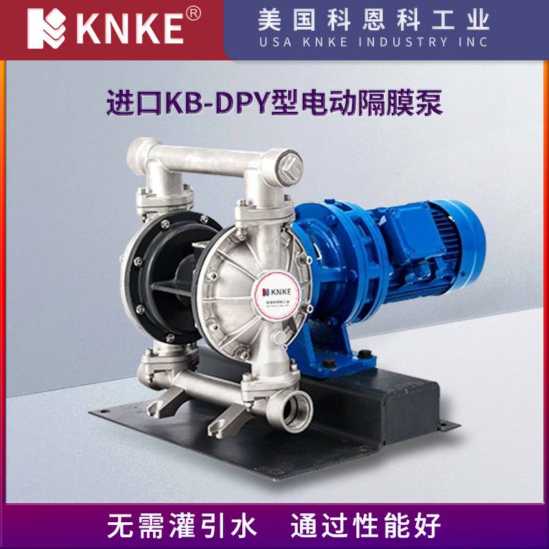 进口电动隔膜泵 适用介质广 可定制 美国KNKE科恩科品牌