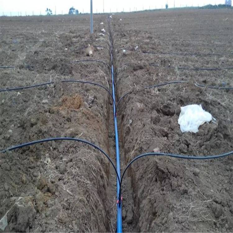 下一个> d, 以上几点得到广大用户的认可,在地埋滴灌的项目中内镶式