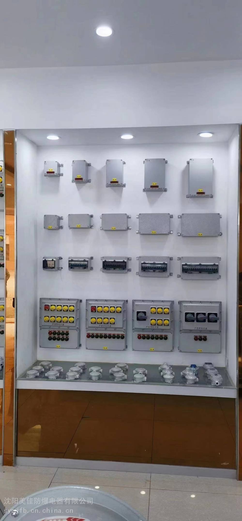工程塑料按钮箱 BXM（D)iic级 PLC控制柜 温控仪表操作箱