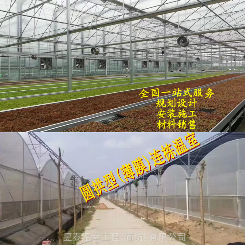 薄膜连栋棚拱形智能温室大棚育苗大棚蔬菜大棚昱泰温室公司建造