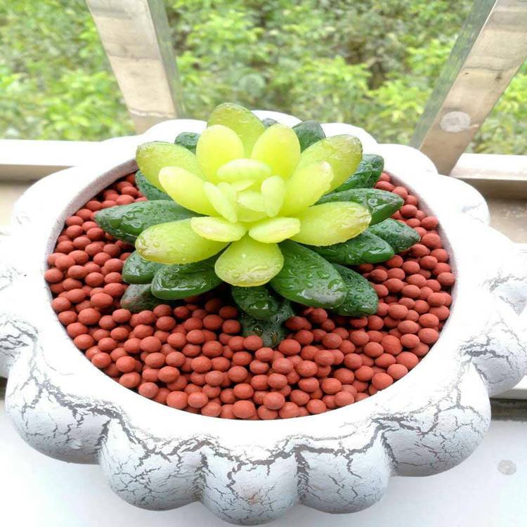 【花卉陶粒 花卉陶粒厂家 花卉陶粒价格】图片