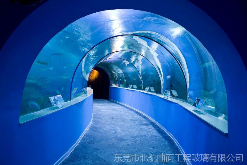 多层夹胶大型工程玻璃海洋馆水族馆装饰钢化玻璃大视察