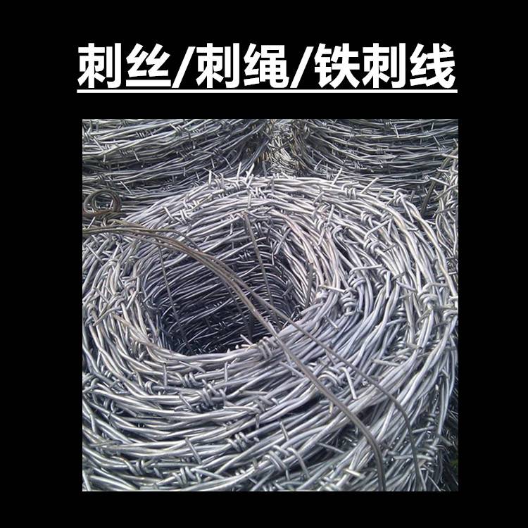 乐博铁蒺藜隔离厂家供应10公斤围栏刺铁丝