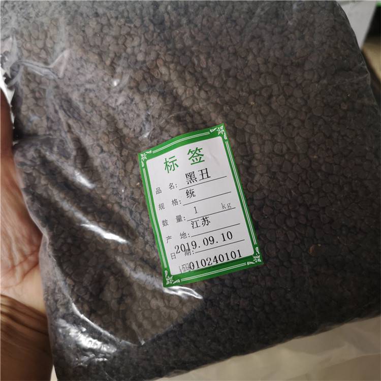 黑丑别名是什么 牵牛,黑丑,白丑,二丑,喇叭花子批发