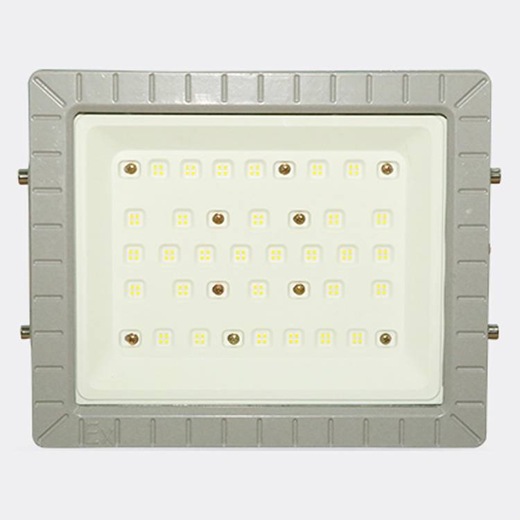 圆形防爆灯 仓库厂房led隔爆型工矿灯 100W200W三防灯