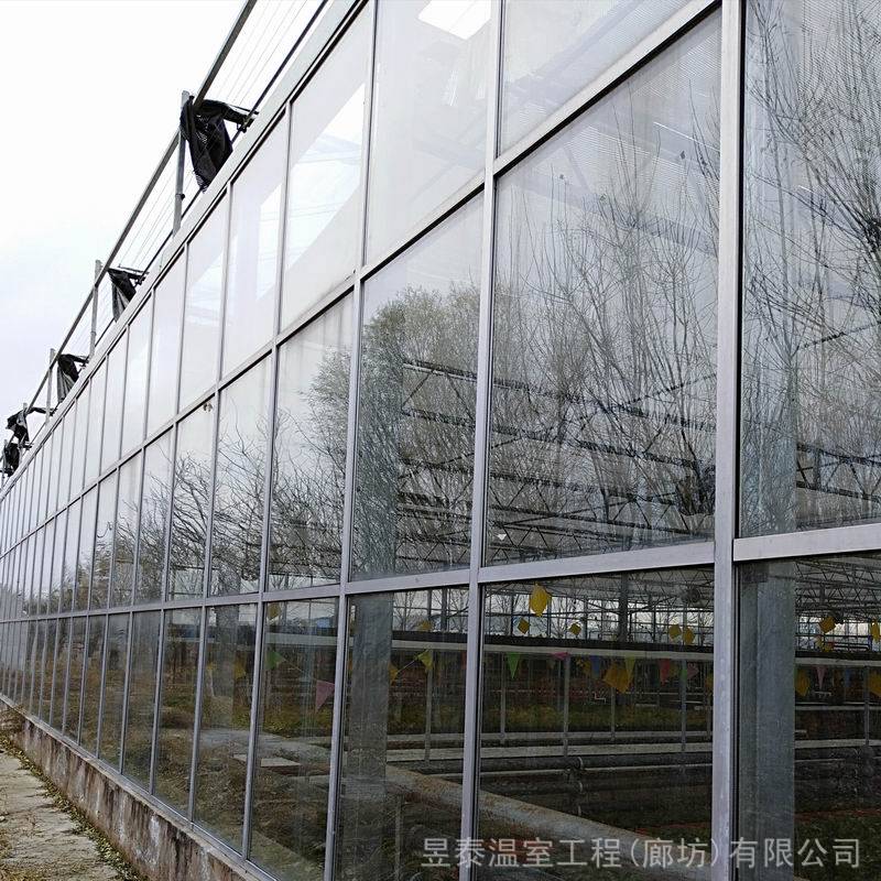 温室大棚设计建造玻璃连栋温室观光采摘蔬菜种植育苗温室