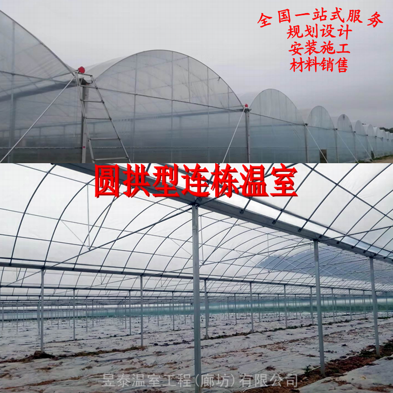 圆拱型弧形薄膜连栋棚连栋温室蔬菜育苗大棚种植温室大棚