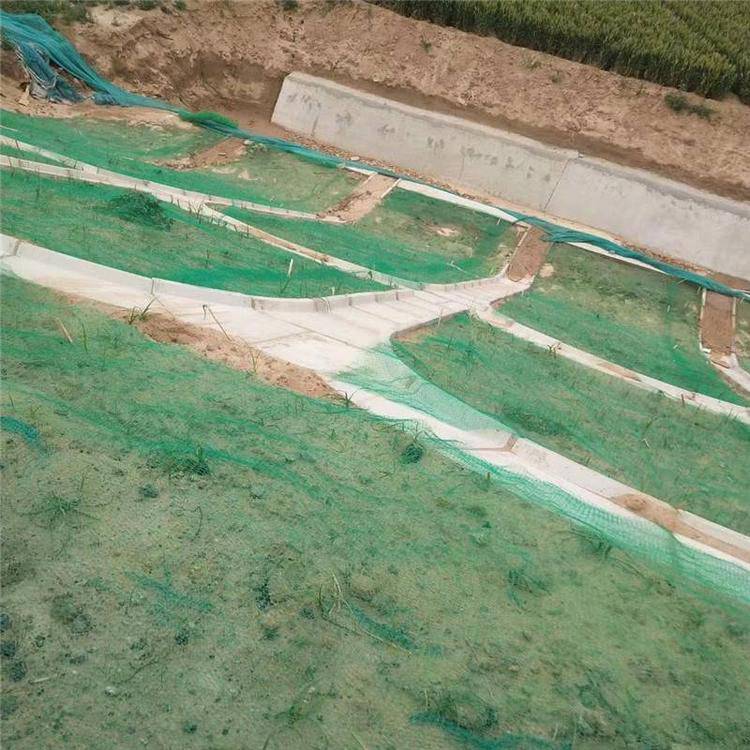 拓林供应EM3层护坡用三维网斜坡绿化喷浆植草网土工网垫