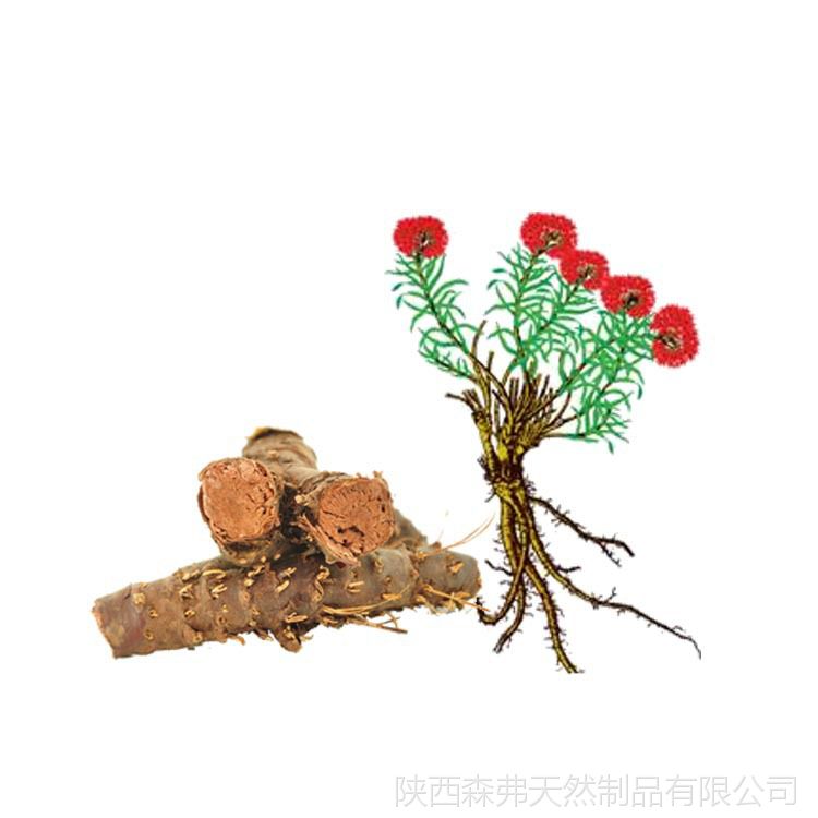 紅景天提取物 3%紅景天甙 iso廠家現貨銷售 紅景天粉