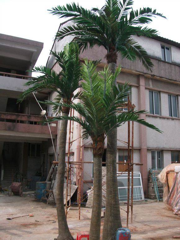 广州仿真树厂家仿真椰子树室外仿真棕榈树厂家假大王椰