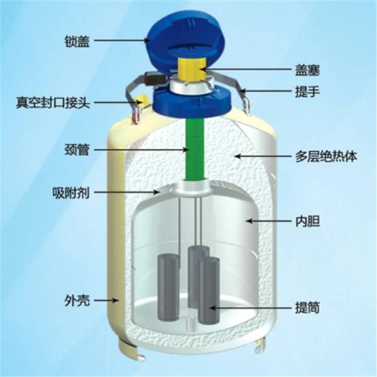 金凤液氮罐YDS-35-125金凤液氮容器现货直发