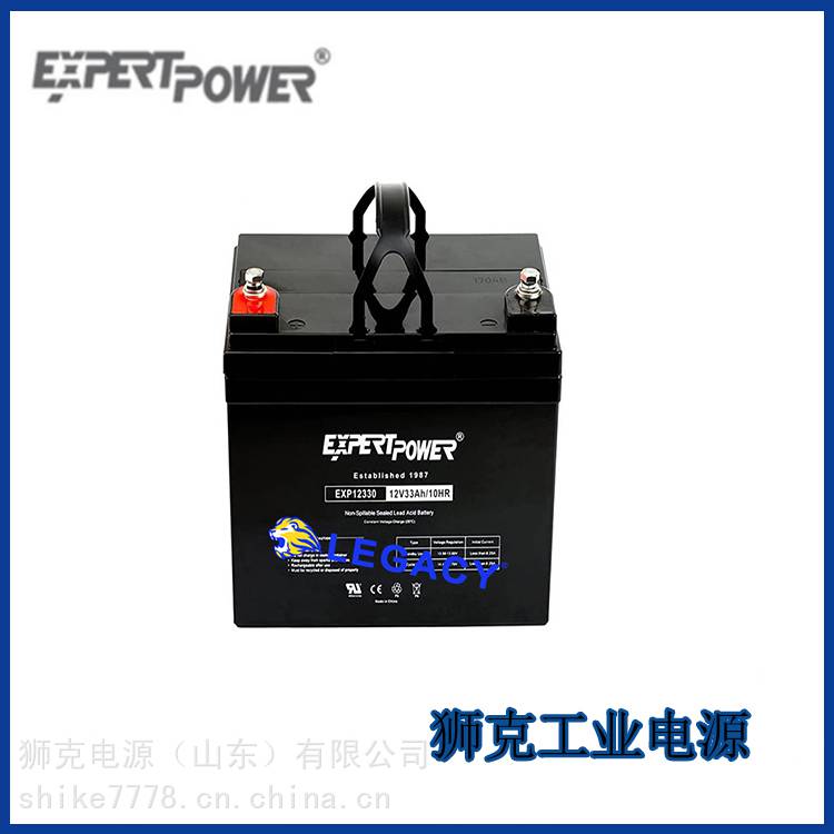 德国expertpower蓄电池EXP124512V45AH机房UPS电源