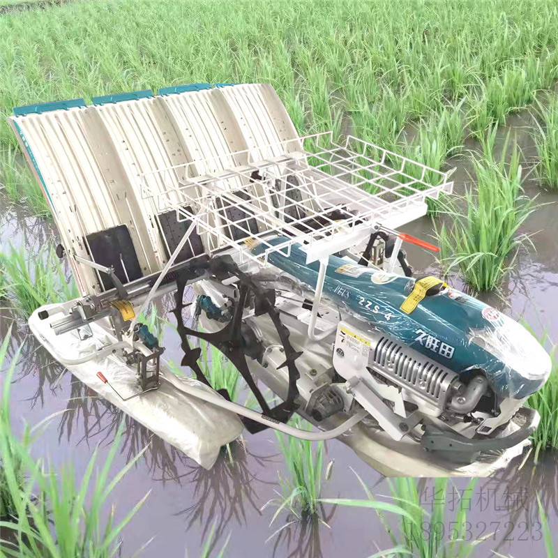 久旺田水稻插秧机厂家直销 2zs-4g水稻栽苗机 六行水稻插秧机