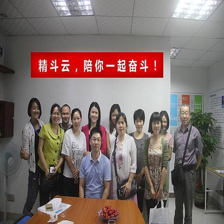 excel财务管理系统 金蝶ERP软件惠州公司管理软件
