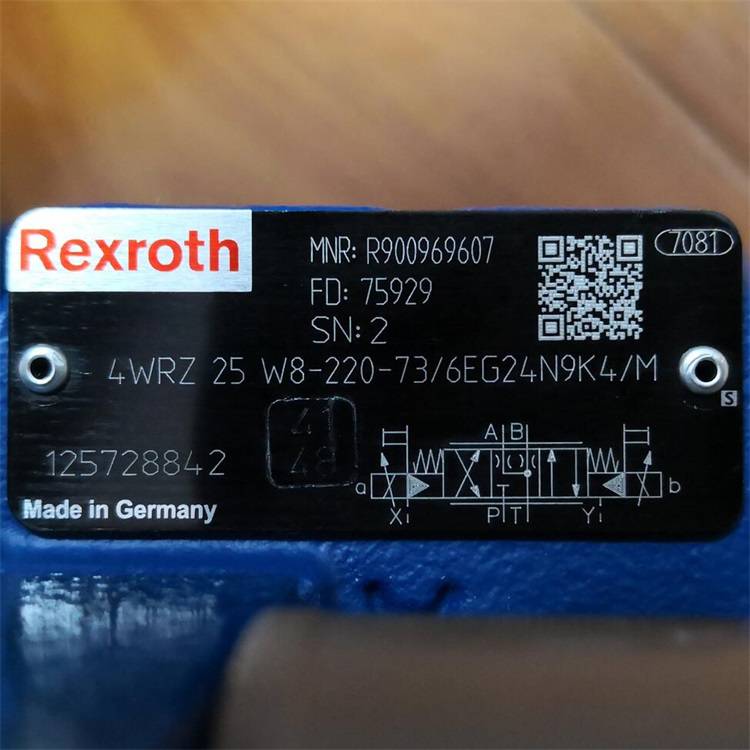 Rexroth//R9009696074WRZ25W8-220-7X-6EG24N9K4/