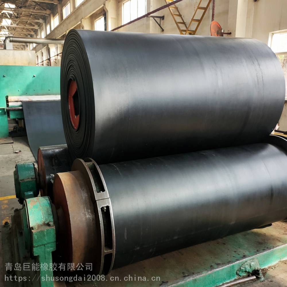 四川宜賓興文耐腐蝕輸送帶來圖加工制作