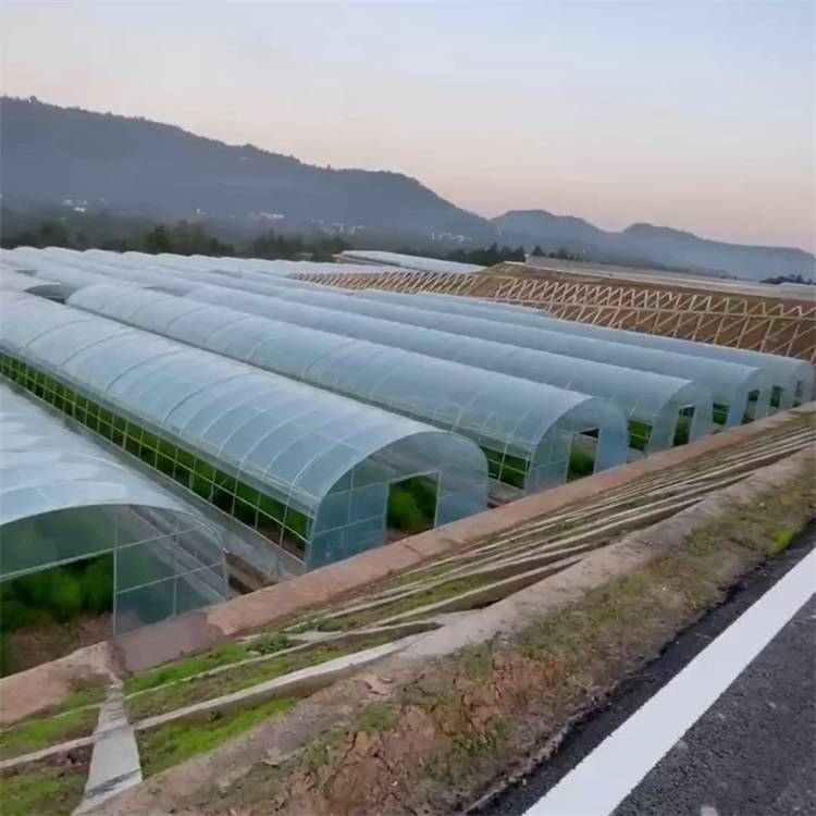 珠海小林温室大棚农用蔬菜养殖保温连体种植家用美观实用ZKXL-01