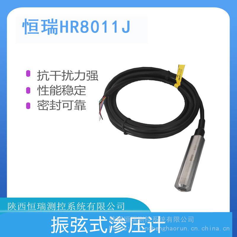 全不锈钢振弦式渗压计渗透孔隙水压力计恒瑞HR8011J