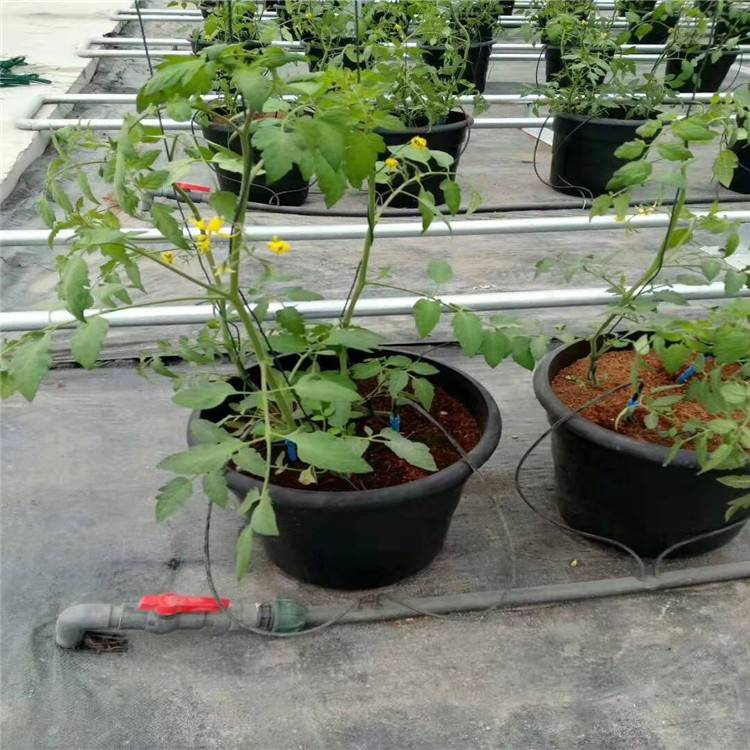 温室新型无土栽培果蔬灌溉用一出四滴箭套装厂家报价