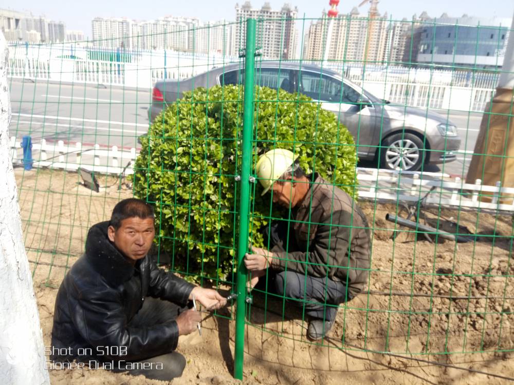 现货山地铁丝网护栏沃达钢丝网护栏网苗木围栏