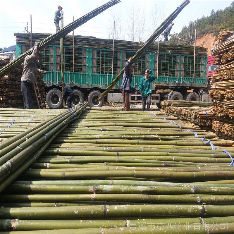 大量供应雄安新区用的粗细绿化竹杆京西竹业荣誉出品