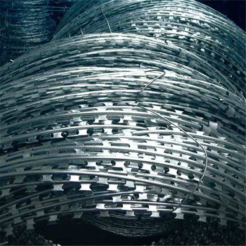 揭晓！舟山这份福利太实在了！