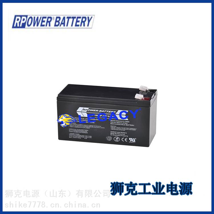 德国RPOWER-BATTERY蓄电池OGiV12380L12V38AH直流屏工业设备