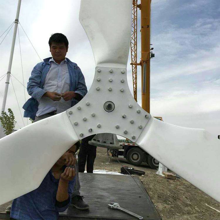 临夏晟成风电500W发电机山顶风力发电机满足用电需求