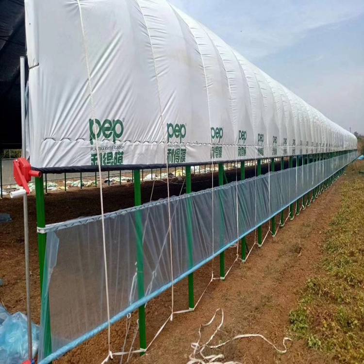 易游娱乐城- YY易游体育官方网站- 易游体育APP建设养牛大棚 肉牛养殖棚搭建 养牛棚设计规划