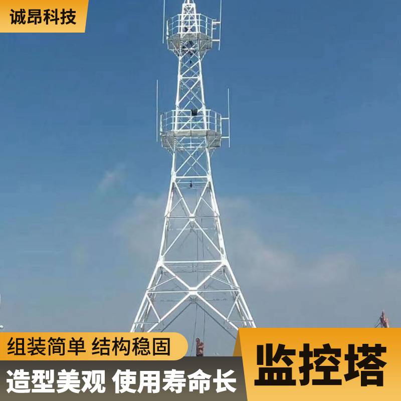 监控塔钢结构支持定制风力测试塔气象测风塔工艺装饰塔