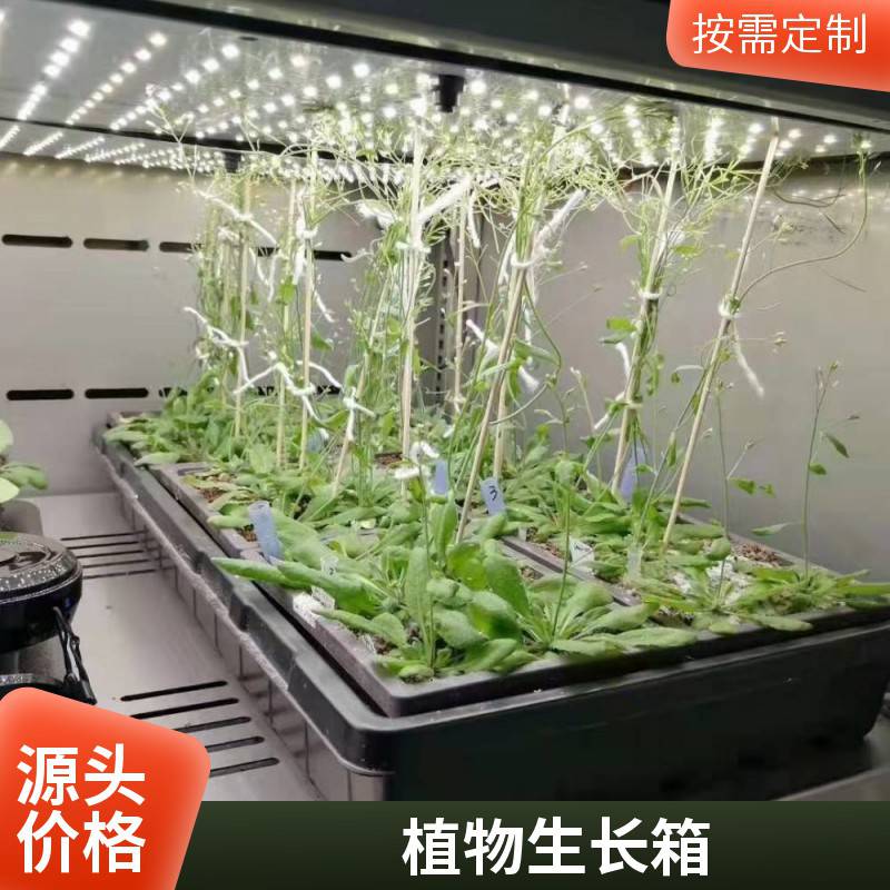 智能光照培养箱PGX-350B植物栽培箱种子发芽实验箱