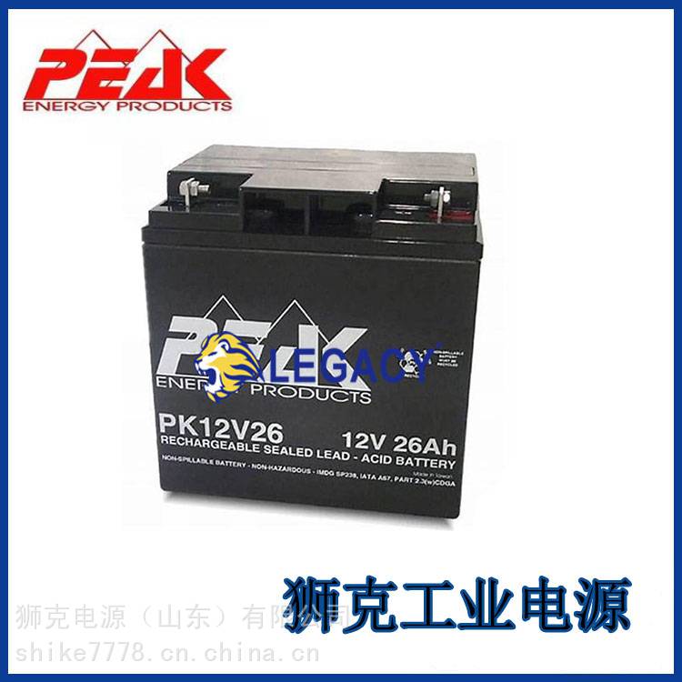 法国PEAK蓄电池PK12V9免维护12V9AH精密机械UPS应急电源