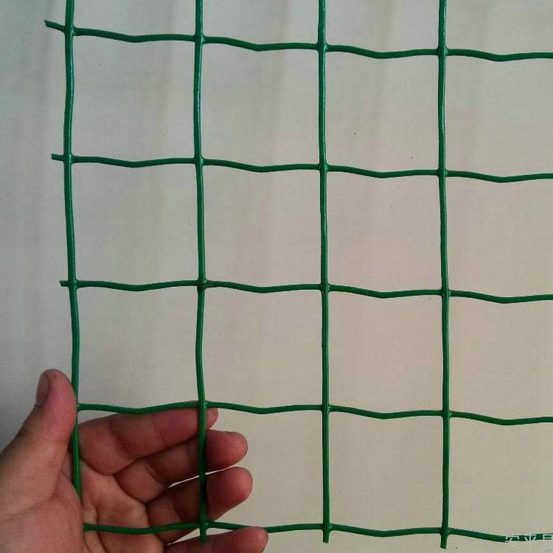 0低碳钢丝包塑6*6cm网孔绿色圈地养殖荷兰网