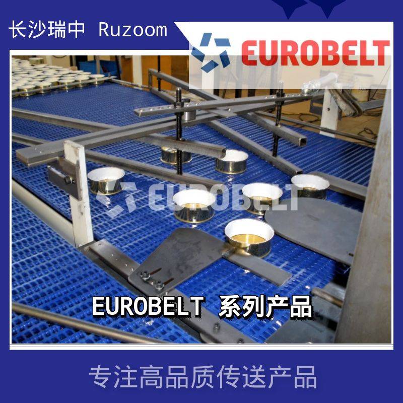 Eurobelt包装行业塑料模组网带同步传动输送平皮带