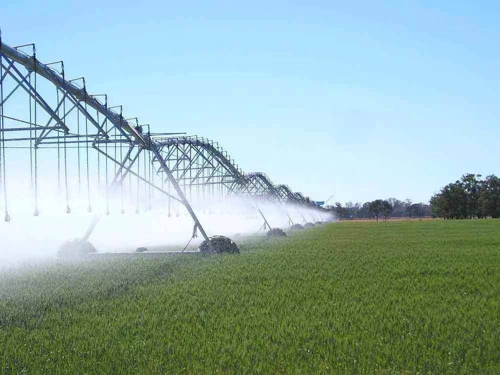 水肥一体化指针式喷灌助力德州小麦农场