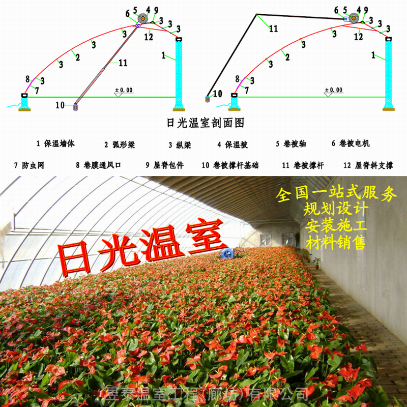 日光温室暖棚椭圆管大棚薄膜大棚棉被大棚蔬菜大棚昱泰温室生产施工建造