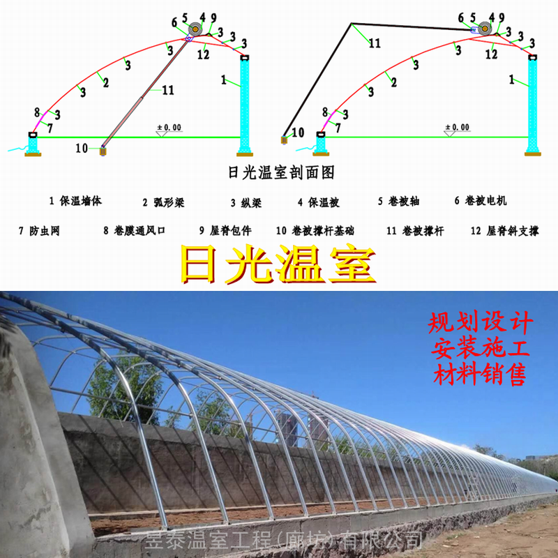 蔬菜大棚日光大棚蔬菜育苗大棚薄膜温室大棚建造厂家