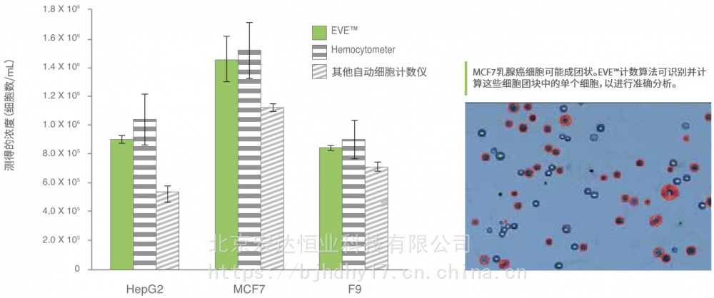 韩国nanoentek eve全自动细胞计数仪 细胞计数器 现货特价促销