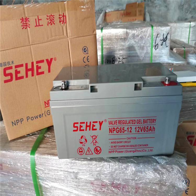 SEHEY西力蓄电池NPG250-12阀控式12V250AH大容量胶体系列