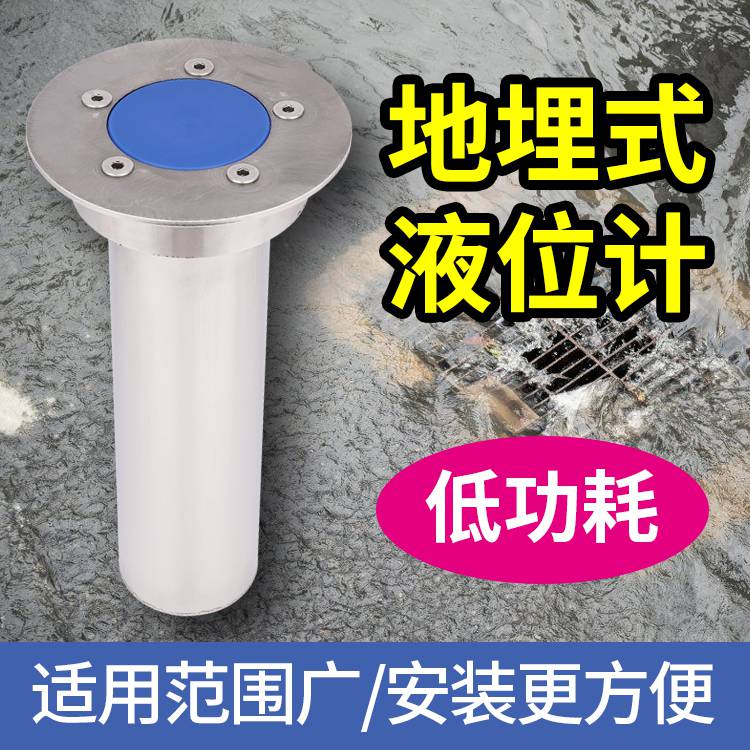 防汛系统软件DC-DM 地埋式水位传感器北京东成基业