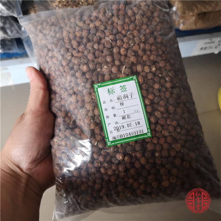 中药材梧桐子价格多少钱一公斤