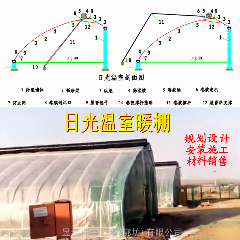 日光温室大棚薄膜蔬菜大棚几字钢椭圆管大棚建造厂家