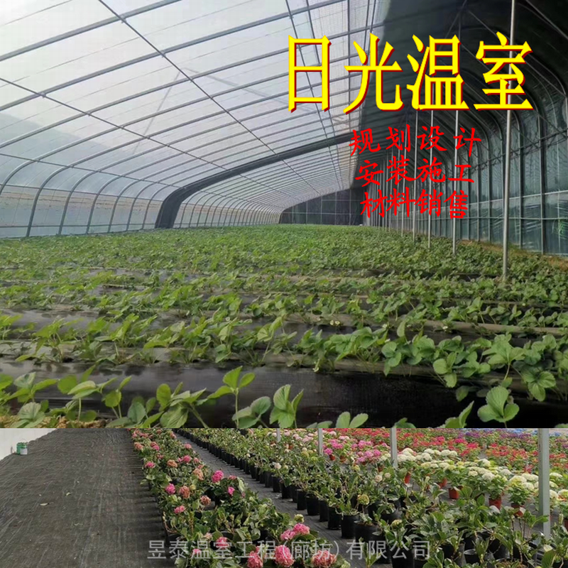 温室大棚日光温室暖棚薄膜蔬菜大棚棉被温棚昱泰温室