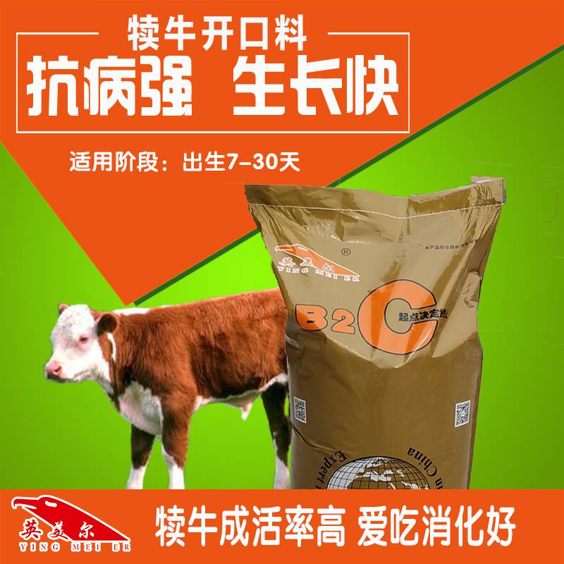 牛犊断奶后应如何饲养肉牛养殖技术犊牛饲料开口料