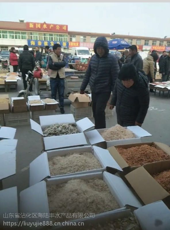 2025年11月17日全国首要批发商业商场牛肉价格行情