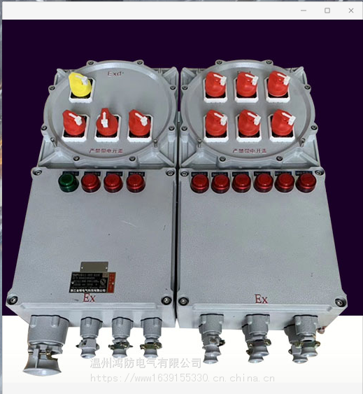 安徽增安型防爆接线箱BXM-D8050防爆配电箱防爆动力检修箱
